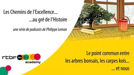 Miniatures podcast rtbf bonsai et koi sep 2022 1 light